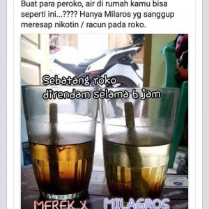 Racun rokok dapat di netralisir